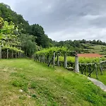 Relais Del Brigante 3* Settimo Vittone