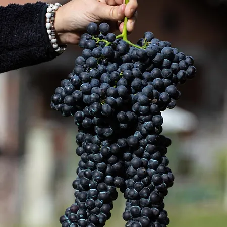 Relais Del Brigante 3* Settimo Vittone