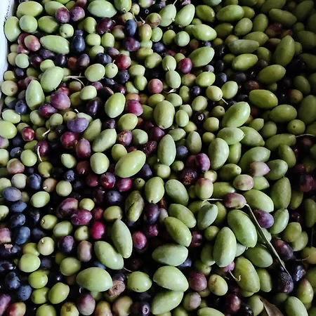 לינה וארוחת בוקר Relais Del Brigante Settimo Vittone