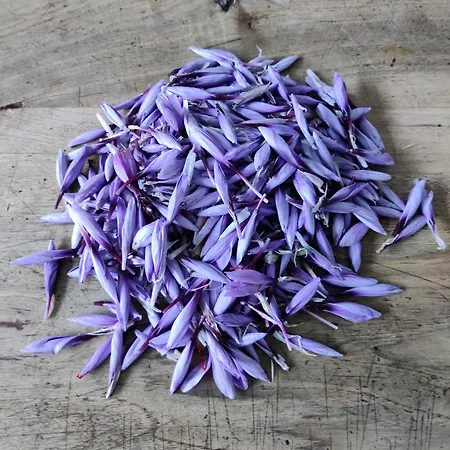 Relais Del Brigante לינה וארוחת בוקר