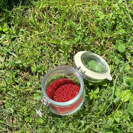 Relais Del Brigante Settimo Vittone