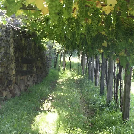 לינה וארוחת בוקר Relais Del Brigante 3*