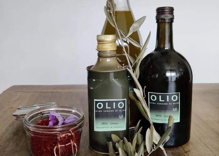 Relais Del Brigante Alojamento de Acomodação e Pequeno-almoço Settimo Vittone