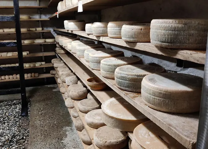 Relais Del Brigante Alojamento de Acomodação e Pequeno-almoço